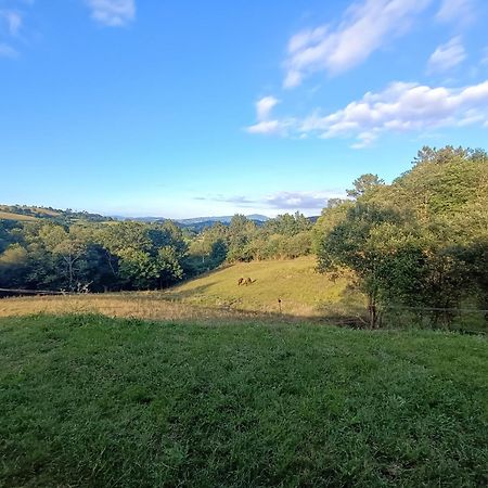 Casa Rural Tulia Grado Eksteriør bilde