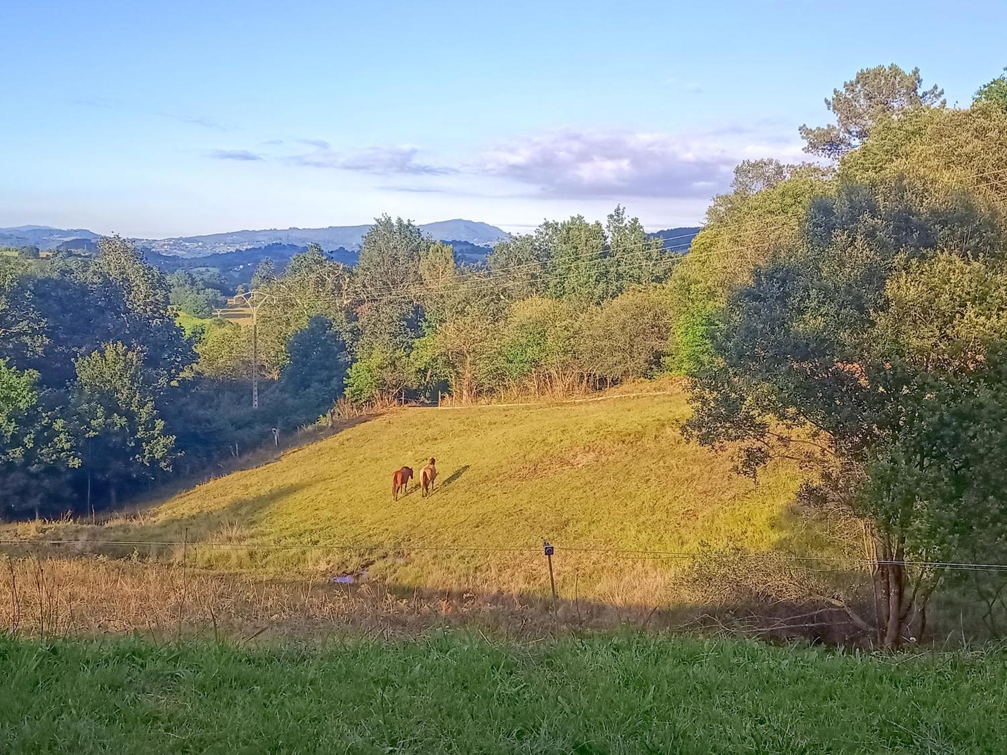 Casa Rural Tulia Grado Eksteriør bilde